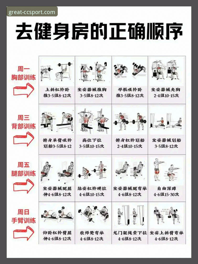 新手入门长城体育平台的5个实用技巧与完整操作指南